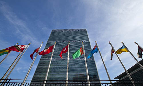 我应该选择哪些品种进行投资？